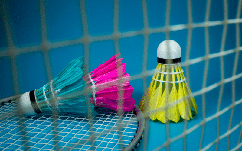Perlengkapan badminton dasar untuk pemain rutin
